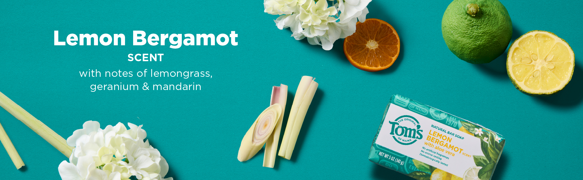 Tom's of Maine Bar Soap Enhanced Content Module 3