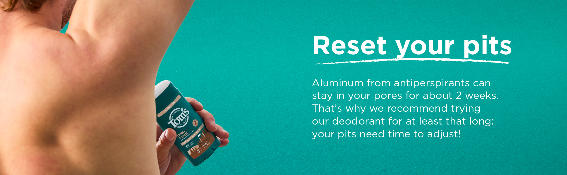 Tom's of Maine Deep Forest Deo Enhanced Content Module 3