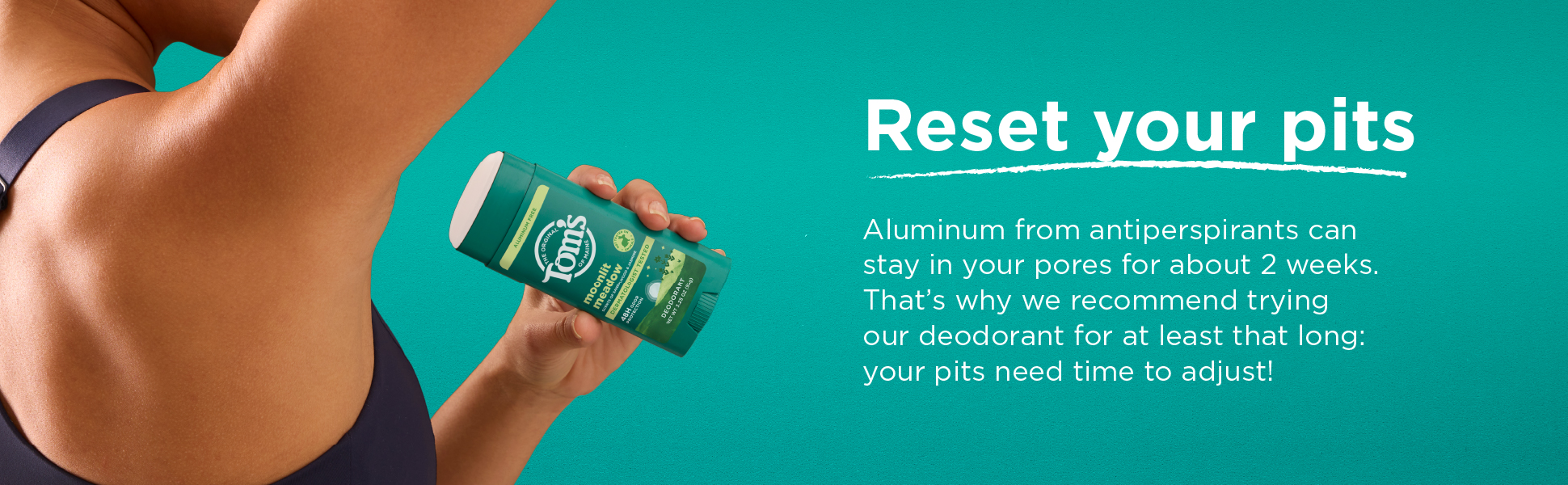 Tom's of Maine Moonlit Meadow Deo Enhanced Content Module 2